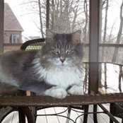 Sheryl Pfeifer's photo