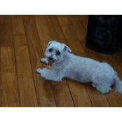 Sean Chen's photo