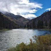 Linda Temple's photo