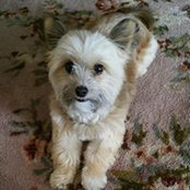 John Szabo's photo