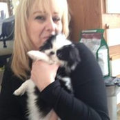 Joanne Cooper's photo