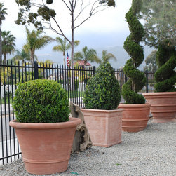 Topiaries in Terra Cotta - Garden Statues And Yard Art