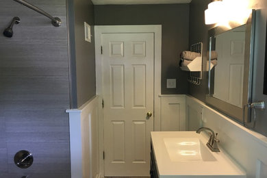 Trendy home design photo in St Louis