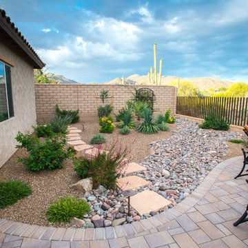 Curved Desert in Tucson