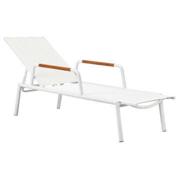 Pangea Home Dean Modern Aluminum Arm Loungers in White Finish (Set of 2)
