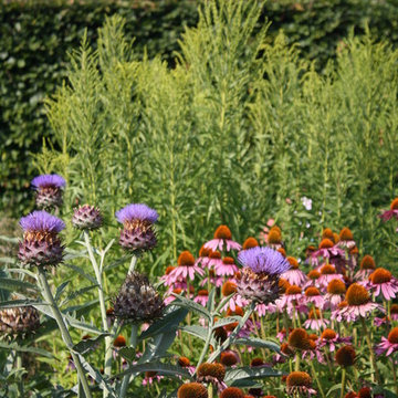 Herb Border