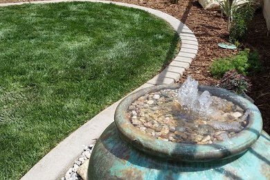 Inspiration for a landscaping in San Diego.