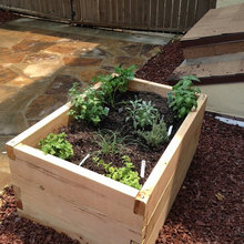 Herb Garden