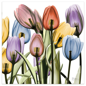 Tulip Scape X-Ray II Flower Wall Art on Frameless Free Floating Tempered Glass