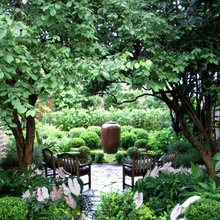 Boxwood Shapes