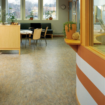 Forbo Marmoleum Sheet