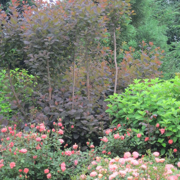 Distinctive Gardens