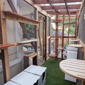 Farris Property - Outdoor Office And Cat-Patio