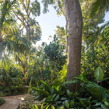 Secret Garden