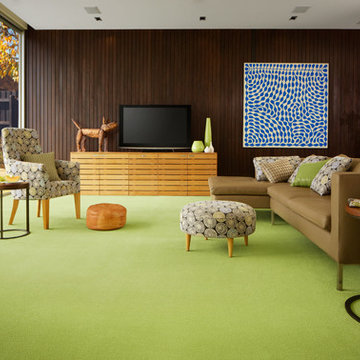 Carpet Colours