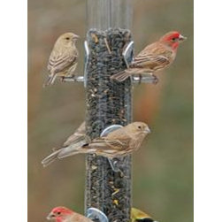 Ring Pull Multi Feeder - Birdhouses