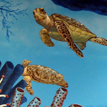 Murals