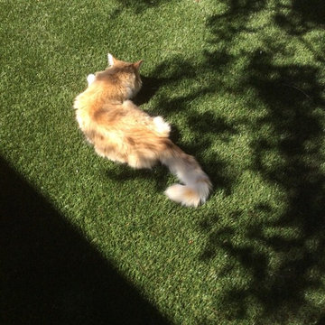 Artificial Sod Done Right