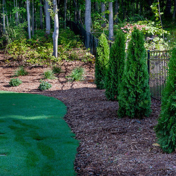 Backyard Transformation