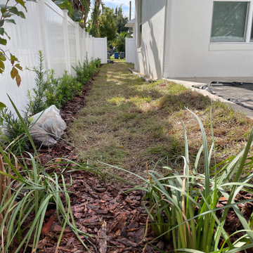 Winter Park Florida sod replacement backyard landscape design installation