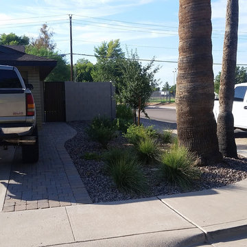 Plantings - 7 months