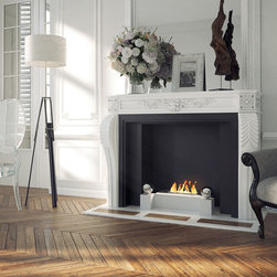 ADD Fireplace Insert - Indoor Fireplaces