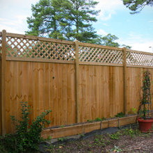 Landscape Ideas