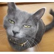 Kelli Sundborg's photo
