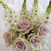 Jenny Corr's photo