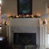 Billie Selvidge's photo