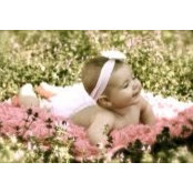 Amanda Dozier's photo