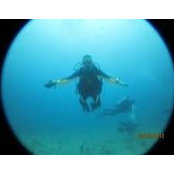 Denny Wood's photo