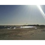 Daiana Bustelo's photo