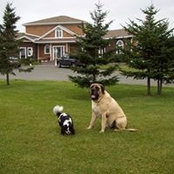Cynthia Crosbie's photo