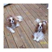 Ellen Highkin's photo
