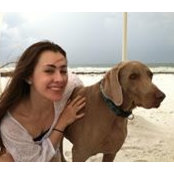 Lauren Ludwick's photo