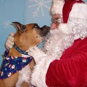 Bailey Boxer's photo