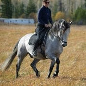 Kristen Guest's photo