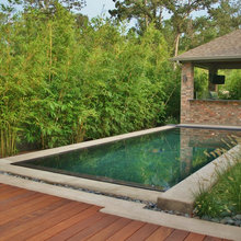 Bamboo For Pool
