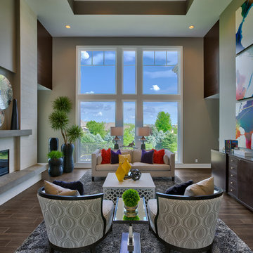 Vibrant Living Room Design