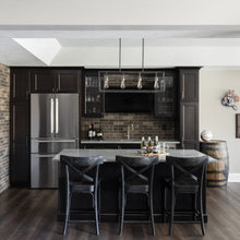 Wet Bar Solutions 555LSE