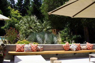 Imagen de jardín ecléctico de tamaño medio en patio trasero con jardín francés y exposición total al sol