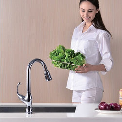 Dawn Faucets - Kitchen Faucets