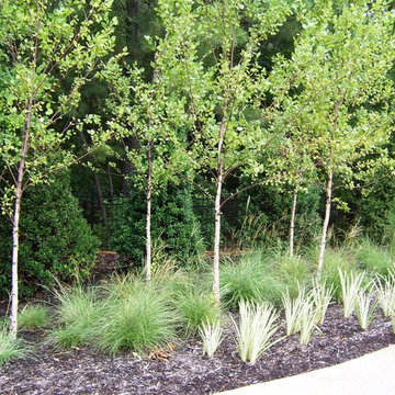 Landscapes Designed 2005-2009
