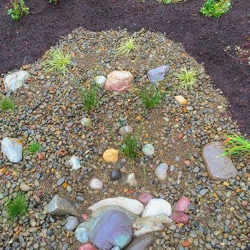 Bioswales and Rain Gardens