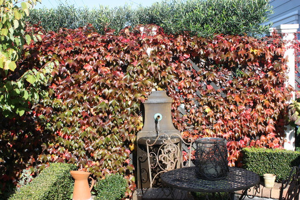 Mediterranean Landscape by Michelle McDonnell Landscape Design