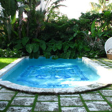 Fiji Pool