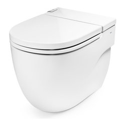 Inodoro In-Tank Meridian | ROCA - Toilets