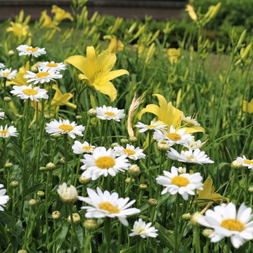 Garden Walks
