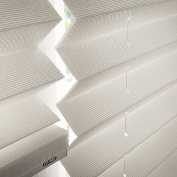 Blinds & Shades